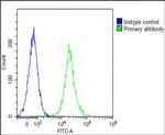 CD14 Antibody in Flow Cytometry (Flow)