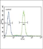 CD14 Antibody in Flow Cytometry (Flow)