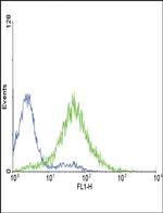 Endothelin A Receptor Antibody in Flow Cytometry (Flow)