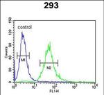 CEA Antibody in Flow Cytometry (Flow)