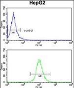 DCL-1 Antibody in Flow Cytometry (Flow)