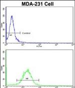 FABP3 Antibody in Flow Cytometry (Flow)