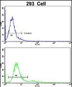 BAALC Antibody in Flow Cytometry (Flow)