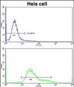 PDIA6 Antibody in Flow Cytometry (Flow)