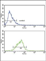 AOX1 Antibody in Flow Cytometry (Flow)