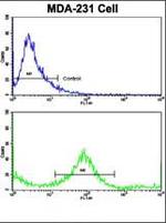 Cytokeratin 4 Antibody in Flow Cytometry (Flow)