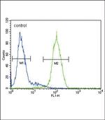 alpha Galactosidase Antibody in Flow Cytometry (Flow)