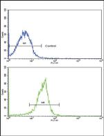 SPARC Antibody in Flow Cytometry (Flow)