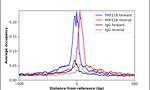 PHF21B Antibody in ChIP Assay (ChIP)