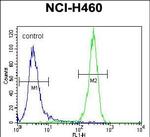 LKB1 Antibody in Flow Cytometry (Flow)