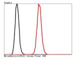 LYRIC Antibody in Flow Cytometry (Flow)