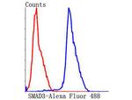 SMAD3 Antibody in Flow Cytometry (Flow)