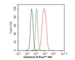 Calcineurin B Antibody in Flow Cytometry (Flow)