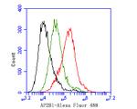 beta-1,2 Adaptin Antibody in Flow Cytometry (Flow)