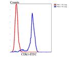 CDK1 Antibody in Flow Cytometry (Flow)