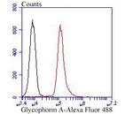 CD235a (Glycophorin A) Antibody in Flow Cytometry (Flow)
