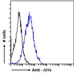 ATF6 Antibody in Flow Cytometry (Flow)