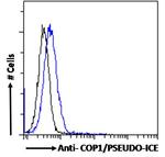 COP1 Antibody in Flow Cytometry (Flow)