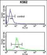 PEDF Antibody in Flow Cytometry (Flow)