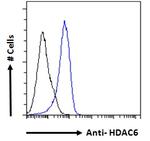 HDAC6 Antibody in Flow Cytometry (Flow)