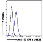 UBE2S Antibody in Flow Cytometry (Flow)