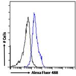 CECR2 Antibody in Flow Cytometry (Flow)