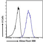 RNF13 Antibody in Flow Cytometry (Flow)