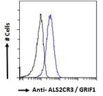 TRAK2 Antibody in Flow Cytometry (Flow)
