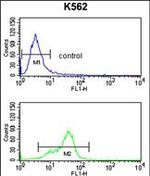 MFAP5 Antibody in Flow Cytometry (Flow)