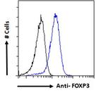 FOXP3 Antibody in Flow Cytometry (Flow)