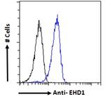 EHD1 Antibody in Flow Cytometry (Flow)