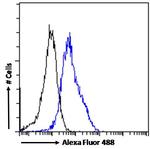 TPH2 Antibody in Flow Cytometry (Flow)