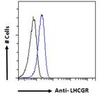 LHR Antibody in Flow Cytometry (Flow)
