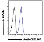CLEC16A Antibody in Flow Cytometry (Flow)