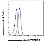 TGFBR3 Antibody in Flow Cytometry (Flow)