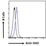 ZNF423 Antibody in Flow Cytometry (Flow)