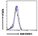 CMG1 Antibody in Flow Cytometry (Flow)