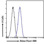 MYPT1 Antibody in Flow Cytometry (Flow)
