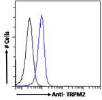 TRPM2 Antibody in Flow Cytometry (Flow)