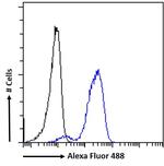 ITK Antibody in Flow Cytometry (Flow)