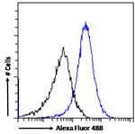 CTAG1B Antibody in Flow Cytometry (Flow)
