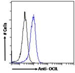 CLEC2D Antibody in Flow Cytometry (Flow)