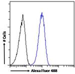 SMC5 Antibody in Flow Cytometry (Flow)