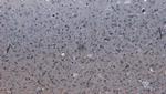 PCDH11X/PCDH11Y Antibody in Immunohistochemistry (Paraffin) (IHC (P))