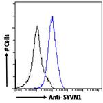 HRD1 Antibody in Flow Cytometry (Flow)
