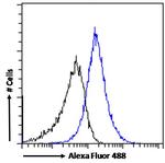 SPAG16 Antibody in Flow Cytometry (Flow)