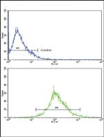 Cathepsin B Antibody in Flow Cytometry (Flow)