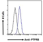PTPRB Antibody in Flow Cytometry (Flow)