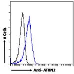 Ataxin 2 Antibody in Flow Cytometry (Flow)
