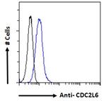 Cdc2L6 Antibody in Flow Cytometry (Flow)